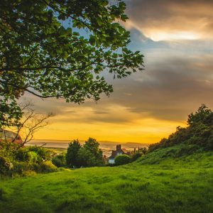 Countryside sunset with trees and fields